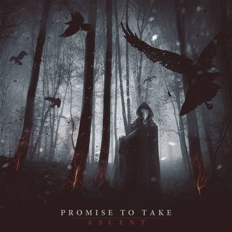 Cover art for Promise To Take