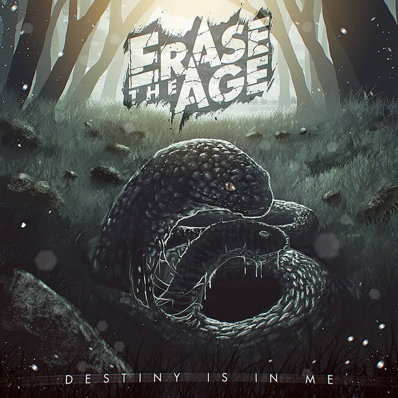 Cover art for Erase The Age
