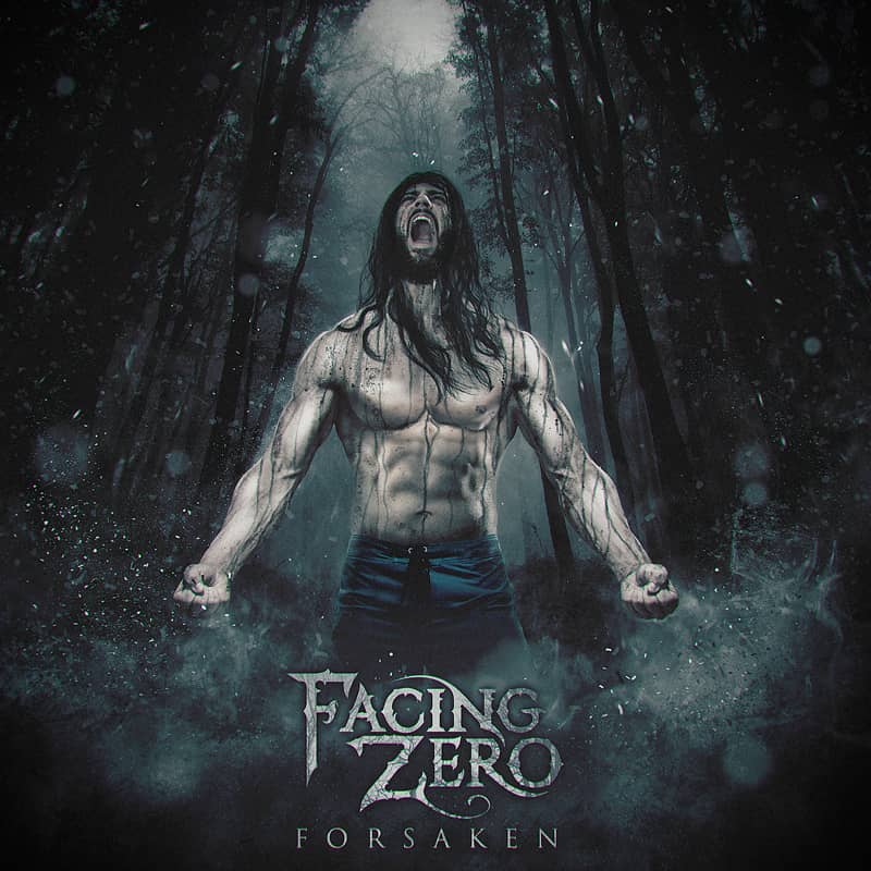 Cover art for Facing Zero